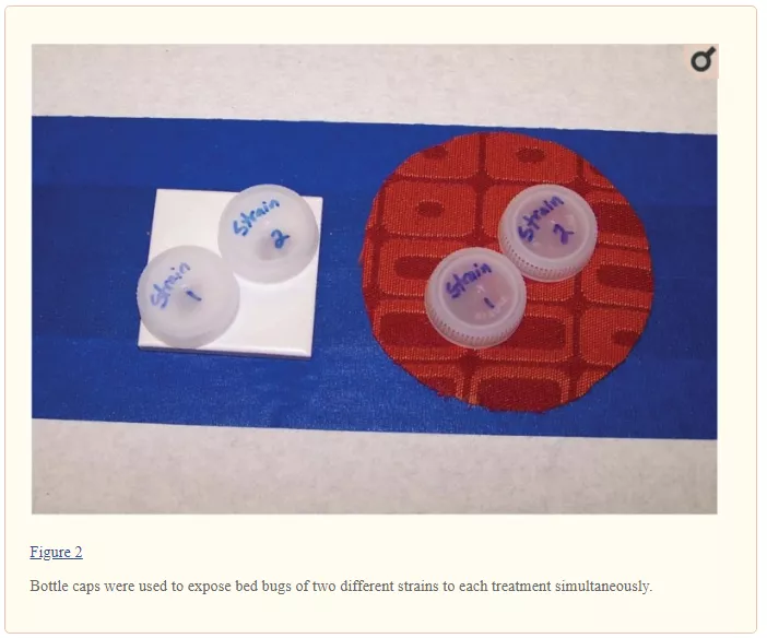 bottle caps to expose different strains to the same treatment