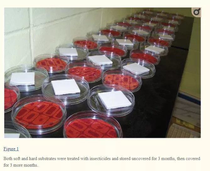 samples to test the differents insecticides 
